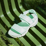 Sport D'Lites - Electric Waves
