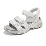 Sport Comfort D'Lites - Classic Catch