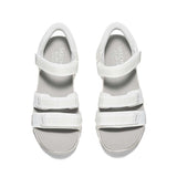 Sport Comfort D'Lites - Classic Catch
