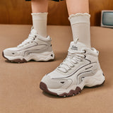 Modern Comfort D'Lites 3.0